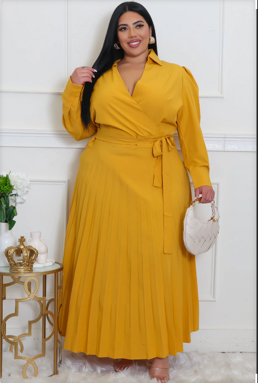 Long Sleeve Pleated Dress